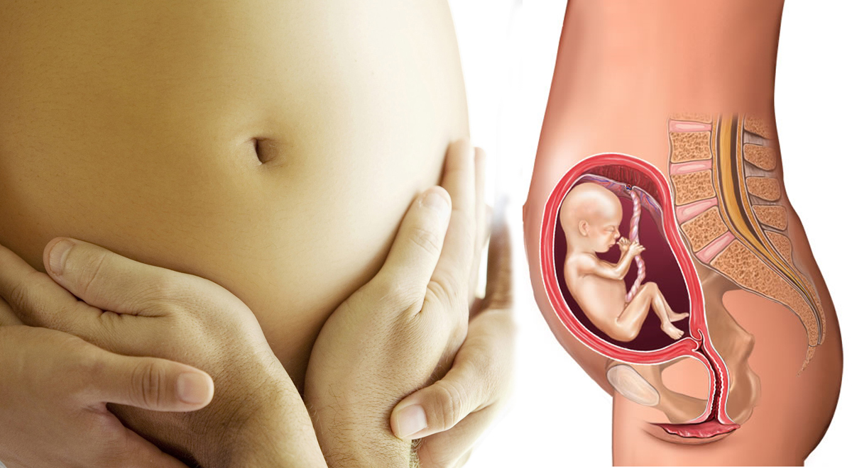 Quarto mese di gravidanza: il feto inizia a muoversi; ma quanto è grande, cosa sa fare?