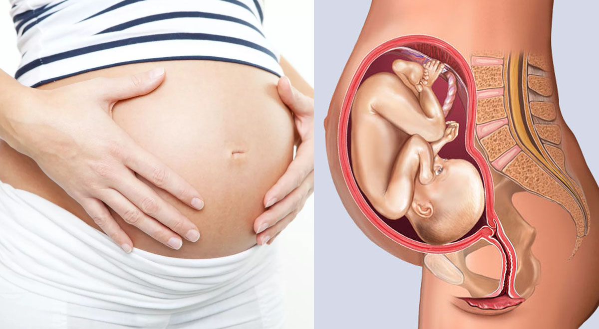 Settimo mese di gravidanza; il feto è quasi pronto, ma quanto pesa? Cosa sa fare ora?