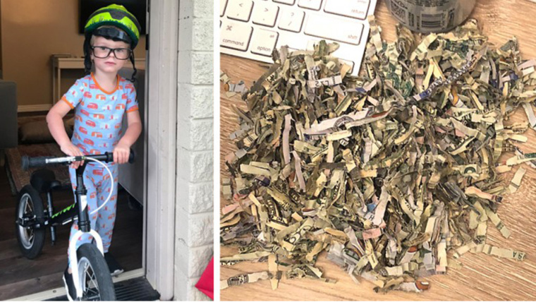 Bimbo di 2 anni trova 1000 $ in una busta in casa e li distrugge nel tritadocumenti