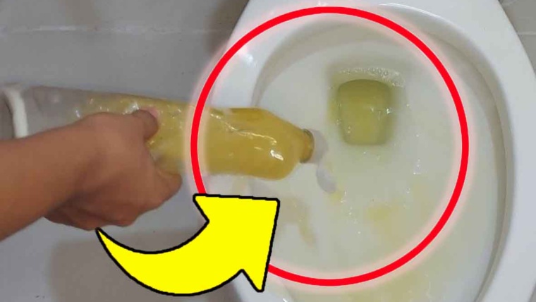 WC sporchissimo: con questa miscela “magica” elimini tartaro, muffa e calcare in meno di 5 minuti!